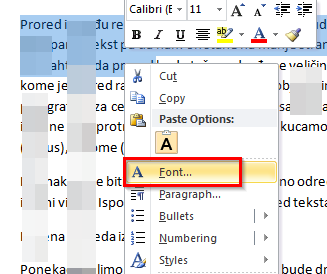 podesavanje fonta u programu